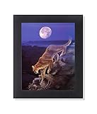Bobcat Mountain Lion Enter The Badlands at Night Wall Picture Framed Art Print