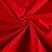 Nylon Lycra Spandex Athletic Stretch Knit Solid Red, Fabric by the Yard