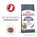 Royal Canin Appetite Control Care | 2 kg | Trockenfutter für ausgewachsene Katzen bis zum 7. Lebensjahr | Zur Kontrolle des Bettelverhaltens | Auch für kastrierte Katzen