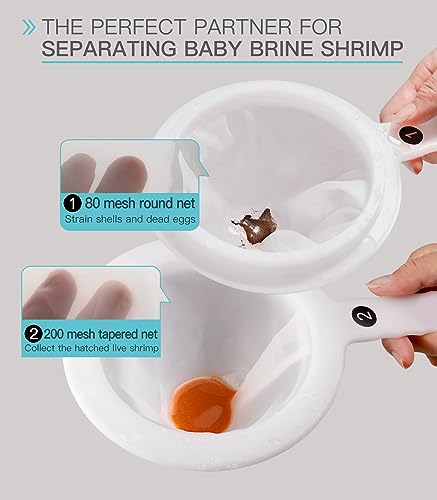 Clscea Baby Brine Shrimp net Sieve 80 Mesh 200 Mesh kit for Brine Shrimp Hatchery Come with Replacement net and Storage Tubes (7PCS Parts) - Image 2