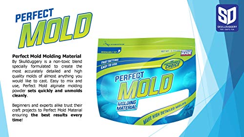 Perfect Mold 1.5lb Mold Making Material for Detailed Molds