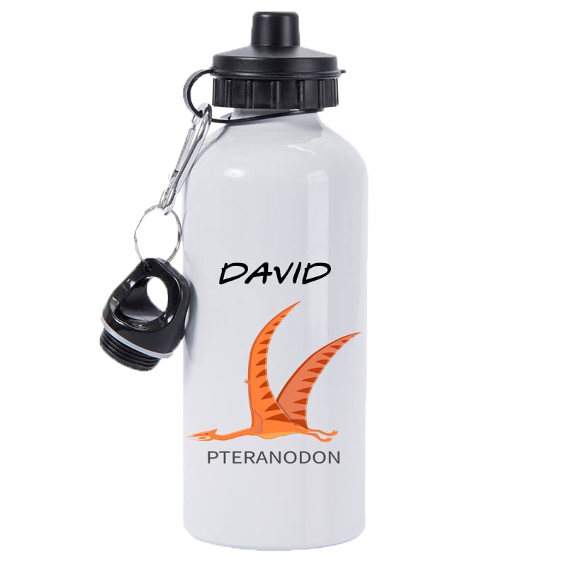 Pickhut Personalised Dinosaur Water Bottle 600ml Back to School Gift for Kids (Pteranodon)