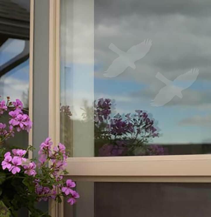 Songbird Essentials SE7015 WindowAlert Hawk