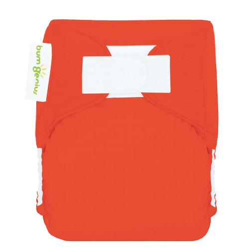 bumGenius All-in-One Newborn Cloth Diaper - Fits Babies 6 to 12 Pounds (Sassy)