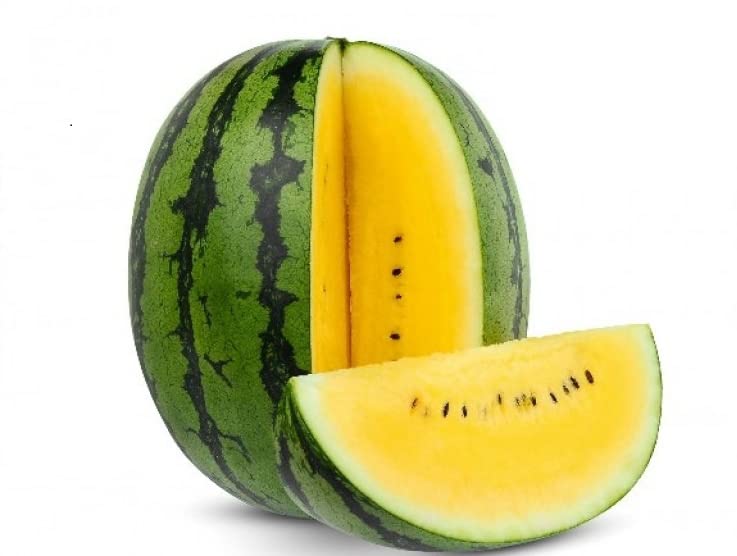 See full amazon price history chart for Urban Turtle Hybrid yellow watermelon yellow flesh 10+ Seeds Urban Turtle Hybrid yellow watermelon yellow flesh 10+ Seeds (B0BTLK27QB) Amazon Price History, Amazon Price Tracker