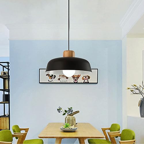 Fixation d'éclairage de plafond pour relooker un intérieur terne - 5