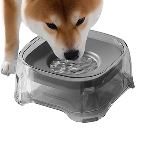Gamelle d'eau anti-déversement pour chien à disque flottant - 8