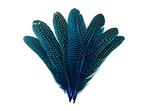 10 Pieces - Dyed Turquoise Blue Polka Dot Guinea Fowl Wing Quill Feathers Halloween Costume Craft Supply | Moonlight Feather #TOP3