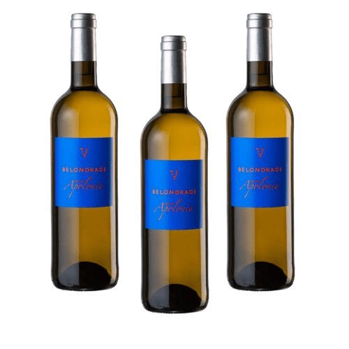 Quinta Apolonia Belondrade - Vino Blanco - 3 Botellas