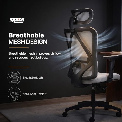 Image of DROGO Ergonaut Ergonomic Office Chair for Work from Home | Computer Chair with 2D Headrest, Armrests & Adjustable Lumbar Support | Breathable Mesh with 120 Recline, 1-Year Warranty (Grey & Grey)