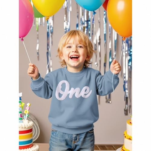 1. Geburtstag Junge Pullover Baby \One\ Bestickt Sweatshirt Neugeborenen Babykleidung Rundhals Langarmshirt Jungen Kinderkleidung Kleinkind Outfits Warmer Herbst Winter Pulli(Himmelblau,12 Monate)