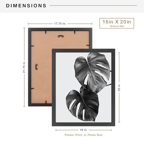 MCS Studio Gallery 16x20 Matted Poster Frame with 12x16 Picture Display, Black Woodgrain Vertical & Horizontal Wall Hanging Large Picture Frame for Photos, Posters & Art Prints (1-Pack)