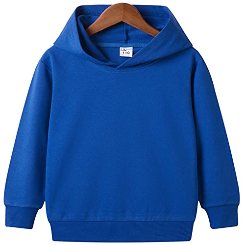 EISHOW Unisex Toddler Baby Hoodies Pullover Sweatshirts,Kids Fashion Long Sleeve Hooded Jumper Casual Fall Winter Tops Clothes