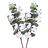 Cada paquete contiene 2pcs rama algodon natural, con una longitud de 45cm, cada rama tiene 6 cabezas de flores, y está equipado con hojas de eucalipto hechas de plástico, vívidas y naturales, es la mejor opción para la decoración.