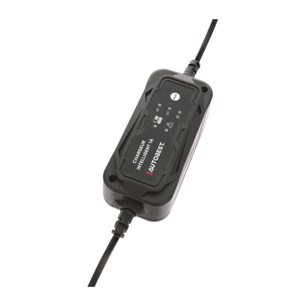 Chargeur de Batterie Auto Moto - Maintien de Charge 6V / 12V - 1A