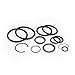 REPLACEMENTKITS.COM Power Trim Cylinder Rebuild Kit Compatible with MerCruiser R/MR/Alpha One (Gen I & II) & Bravo Outdrvies (Replaces 25-87400A2)