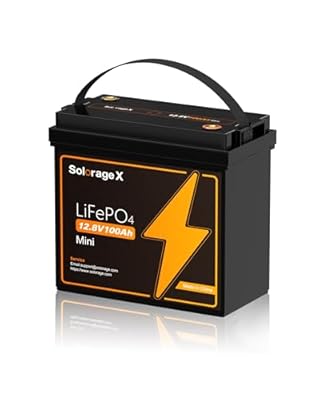 Solorage X 12V 100Ah Mini Group 24 LiFePO4 Lithium Battery, Built-in 100A BMS and Low Temp Cut Off, Max 1200W Power with 5000+ Cycles and 10-Year Lifespan, Perfect for RV, Solar,Trolling Motor