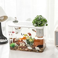 Hoe Decoration ini Aquariu Tabletop Clear Acrylic Fish Tank for Sall Betta Fish Breeding - Acrylic Fish Tank and Fish Tank price