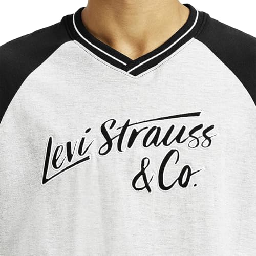 Image of Levi's Men's Printed Loose Fit T-Shirt