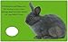 Baby Animals (Bright Baby Touch and Feel): A first sensory tactile book