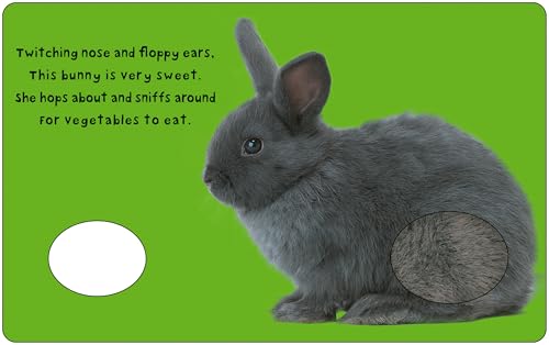Image of Bright Baby Touch & Feel Baby Animals (Bright Baby Touch and Feel)