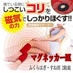 y}OlbJ[DX ӂ͂E˗p 2gz@pӂ͂pT|[^[