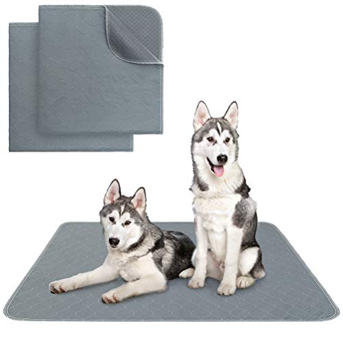 Image of KOOLTAIL Washable Pee Pads for Dogs, 2 Packs Super Absorbent Leakproof & Non-Slip Dog Pee Pad Extra Large, Reusable Puppy Training Pads Waterproof, Pet Mat Rug for Whelping,Floor,Crate,Cats, 34 inchx36 inch