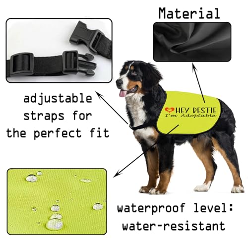Veste pour chien CENWA pour faciliter adoption taille M - 4