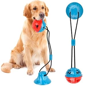 Jouets de Balle de Jouet de Chien avec Ventouse, Jeu Multifonctionnel avec Corde Elastique, Boule/Balles à Mâcher de Dents pour Murs de Carreaux de Sol en Bois