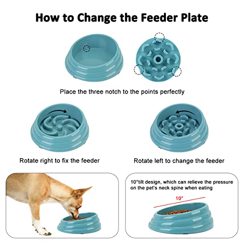 ETACCU Ciotole per Cani 2 Inserti per Piatti per