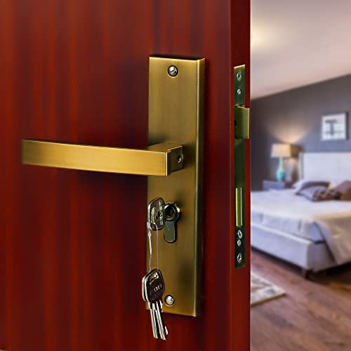 Image of BLUE SPACE Premium 8 Inch Cylindrical Plate Heavy Duty Key Lock - Main Door Lock Set with 3 Keys /Mortise Door Lock for Home /Office /Hotel (MG308, Antique)