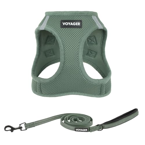 Image of Best Pet Supplies Voyager Step-in Air All Weather Mesh Harness and Reflective Dog 5ft Leash Combo with Neoprene Handle, for Small, Medium and Large Breed Puppies - Moss Green, XXS