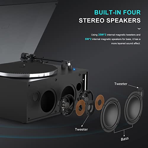Seasonlife HQ-KZ008 Turntables Vinyl Record Player Built-In Treble And Bass Speakers Phono Preamp Upgraded, High Fidelity All-In-One Record Player Belt Drive thumb #2