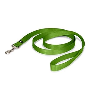 PetSafe Nylon Dog Leash – Strong, Durable, Traditional Style Leash with Easy to Use Bolt Snap – 1 in. x 6 ft., Apple…