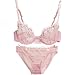 Pink Sexy Vintage Bra & Brief Sets Lace Bras Knickers Transparent Underwear Suit