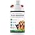 All Natural Flea Shampoo for Dogs & Cats - The Healthy Dog Co - Tick & Lice Shampoo - Pet Shampoo Flea - Lemongrass - 500ml