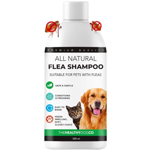 The Healthy Dog Co - Non-Toxic Fast Acting Flea Shampoo for Dogs, Cats, Natural Treatment for Pets, Flea Treatment (Flea Shampoo, 500 ml)