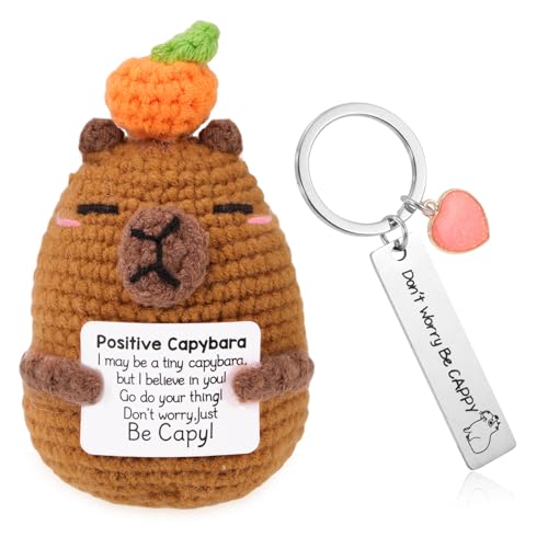 Vspek Emotion Support Crochet capybara, Good Luck Gifts Positive Doll with keychain, Pocket Hug Gift for Women, Men, Friends, Co workers, Birthday Graduation Teacher, Cute Desk Decor for Home Office