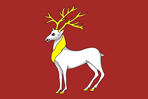 Drapeau Large Rostov en tissu haute densité résistant aux intempéries