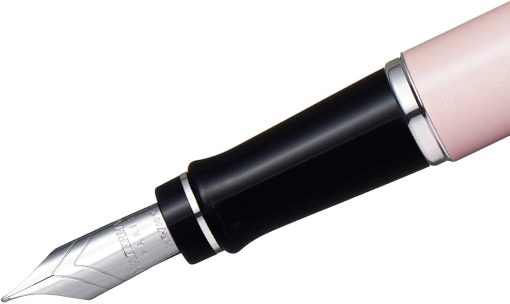 Amazon | Waterman ウォーターマン 万年筆 エキスパート