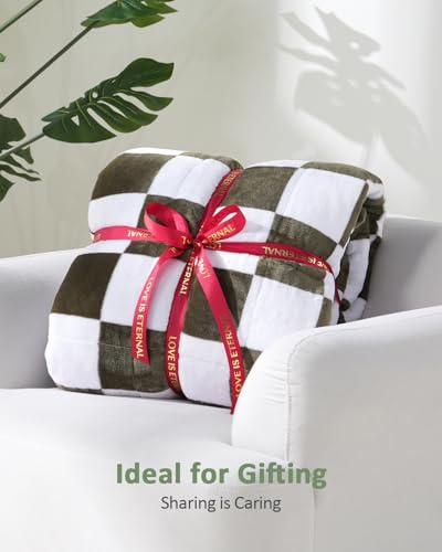 Stiio-Sherpa-Fleece-Weighted-Blanket-for-Adults-15-lbs-Queen-Size-Checkered-Pattern-Soft-Fuzzy-Warm-Weighted-Blankets-for-Calm-and-Sleep-Decorative-Heavy-Blanket-48x-72-Plaid-Green