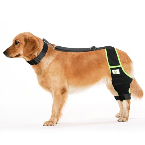 Image of Dog Knee Brace for Hind Legs with Extra Collar & Strap - Relieves Joint Pain & Discomfort, Enhances Mobility | Supports Recovery from Osteoarthritis, Torn ACL /CCL, Luxating Patella | Adjustable (L)