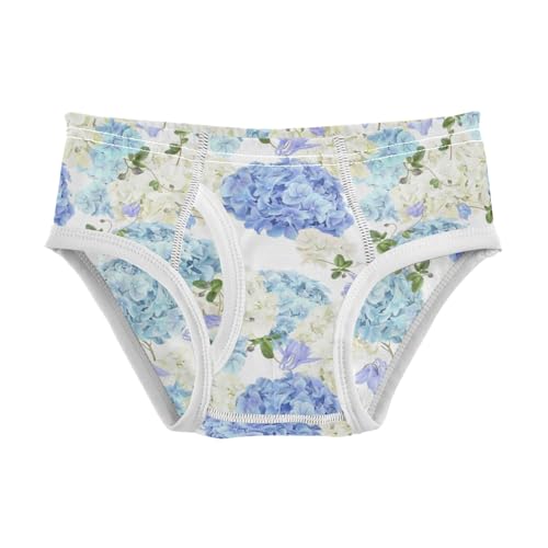Boys' Exclusive Briefs Toddler Underwear 95% Combed Cotton Boxerbriefs 2T Hydrangea Pattern Flower 66