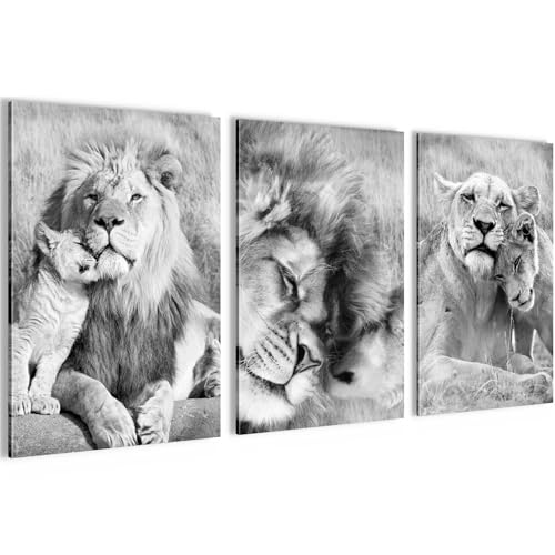 Novart Bilder Set Löwen Afrika Tiere - Kein Extra Rahmen benötigt -...