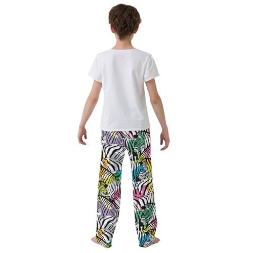 Zebra Colorful Print Boys Long Pants Soft Trousers Elastic Waist Kids Lounge Bottoms with Pockets S-XL3
