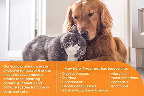 Probonix Probiotics For Cats, Organic, Non-Gmo Liquid Probiotic Drops, 8 Live Probiotic Strains To Help With Digestive Issues, Inflammatory Bowel Disease (Ibd), Dental Health Issues, Allergies, Liver #TOP4