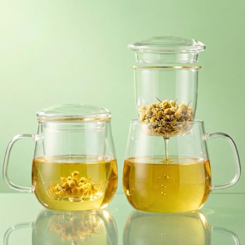 Image of Glass Tea Cup with Infuser & Lid | Heat Resistant, Thick Clear Borosilicate Glass Tea Infuser Mug for Loose Leaf Tea | Perfect for Corporate Gifting or Birthdays | 420ml