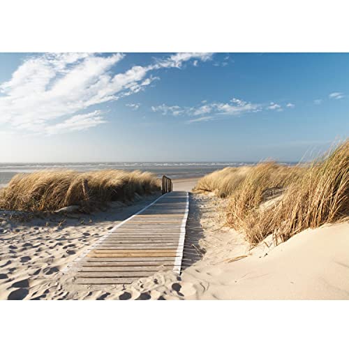 Runa Art Fototapete Strand und Meer Modern Vlies Wohnzimmer Schlafzimmer -...