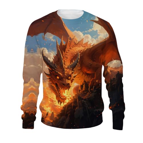 Boy's Comfy Print 3D Fire Dragon Sport Long Sleeve Crew Neck Sweatshirt With 6-14 Years3