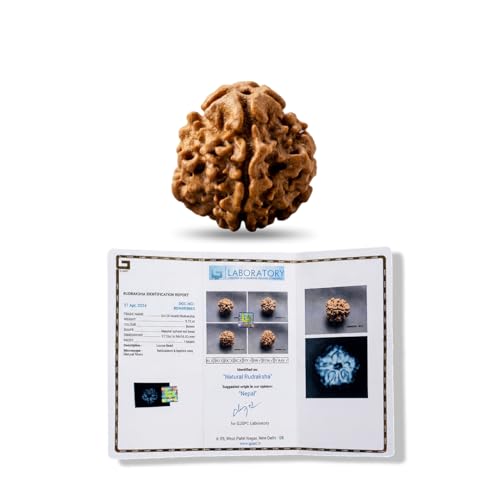 Image of Divine Hindu 1 Mukhi GOL Rudraksha | GJSPS Certified | Original Nepal Ek Mukhi Round Bead | Single Face Rudraksha for Moksha, Meditation & Shiva Devotion